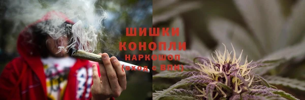 ПСИЛОЦИБИНОВЫЕ ГРИБЫ Верхний Тагил