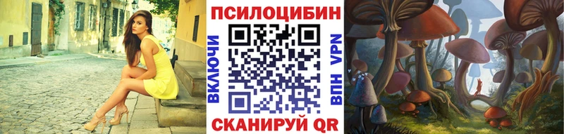 Псилоцибиновые грибы Cubensis  Купить где  Курильск 