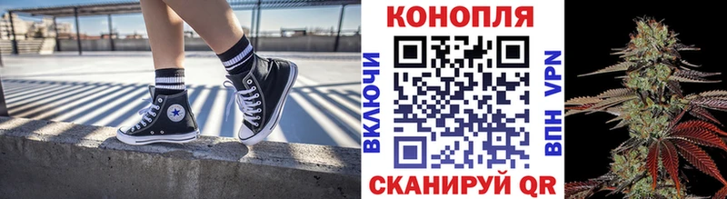 Бошки Шишки план Курильск